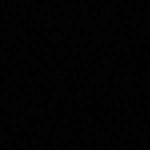 Meet your Posher, Joey